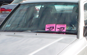 Marketing Material Distribution